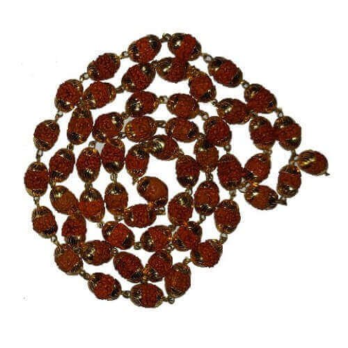 Rudraksh Mala Capwali Single cup