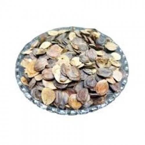 Harshingar Beej  Paarijaat Beej Harshringar Seeds Parijat Seeds Nyctanthes Arbor Tristis