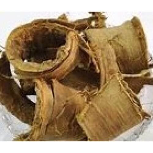 Arlu Chhal Aralu Chal Arlu Skin Shyonaka Chaal Ailanthus Excelsa