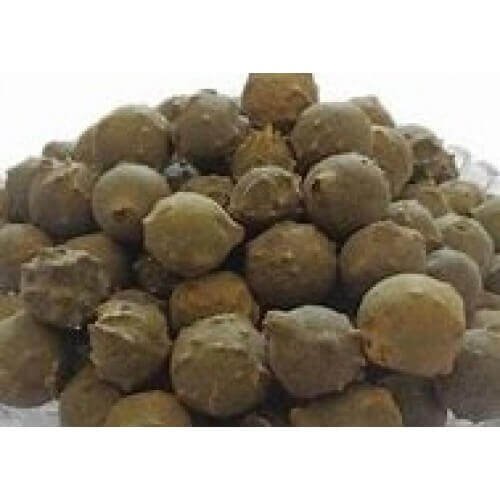 Majuphal Oak Gall Majoophal Manjakani Quercus Infectoria