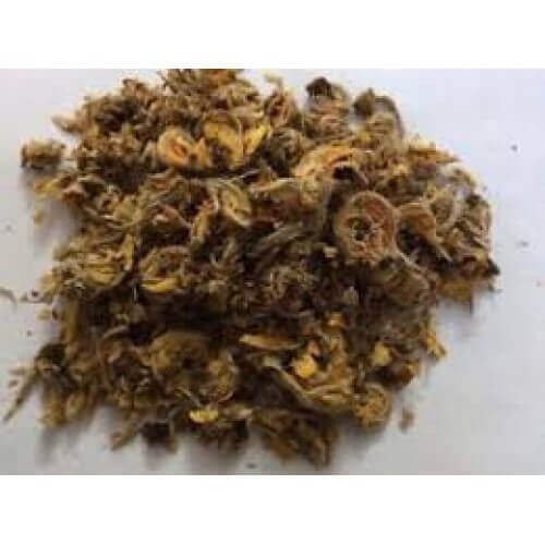 Tesu Flower Palash Phool Phool Tesu Dhak Fool Butea Monosperma