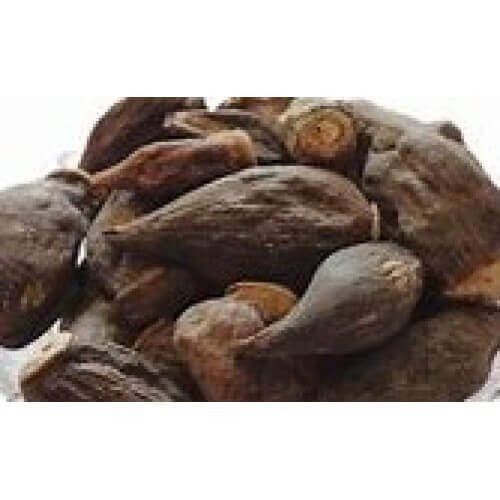 Salab Gatta Jad Salam Gatta Saalam Gutta Saalab Gatta Orchid Root