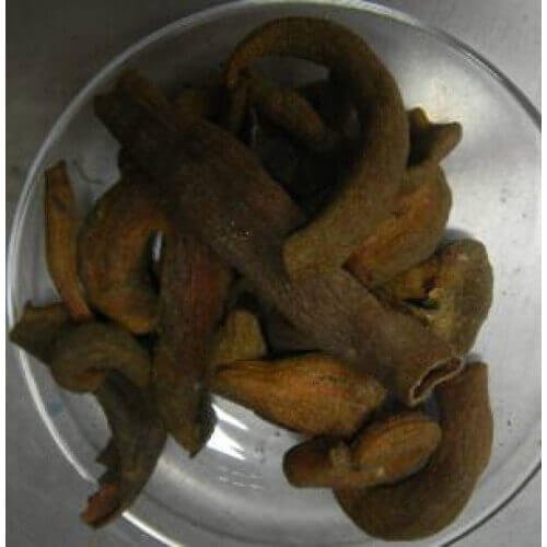 Kakra Singhi Kakadasinghi Pistacia Integerrima ? Zebrawood