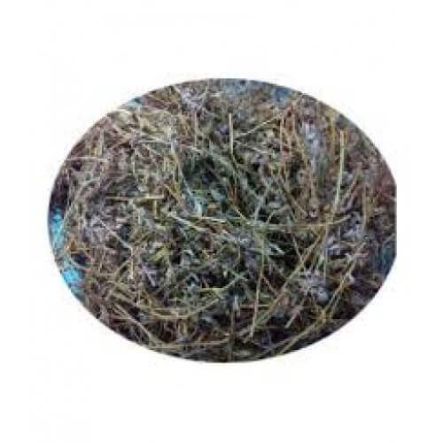 Shankhapushpi  Shankhawali Sankhpushpi Convolvulus Pluricaulis