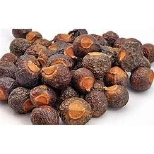 Reetha Ritha Soap Nut Soapnut Acacia Concinna