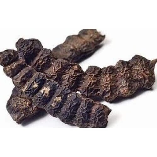 Shikakai Acacia Concinna