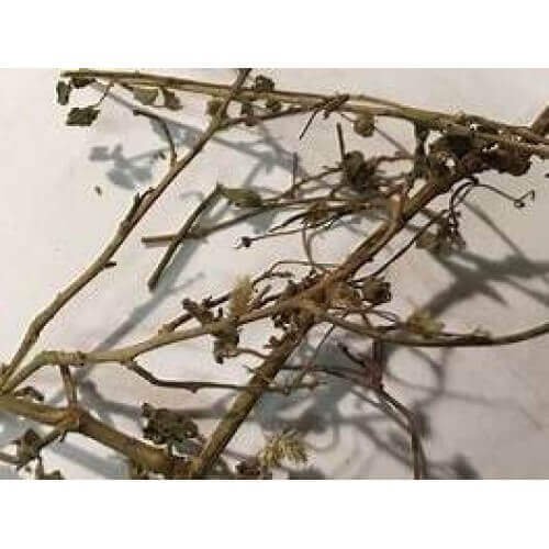 Khareti Panchang Kharaiti Panchang