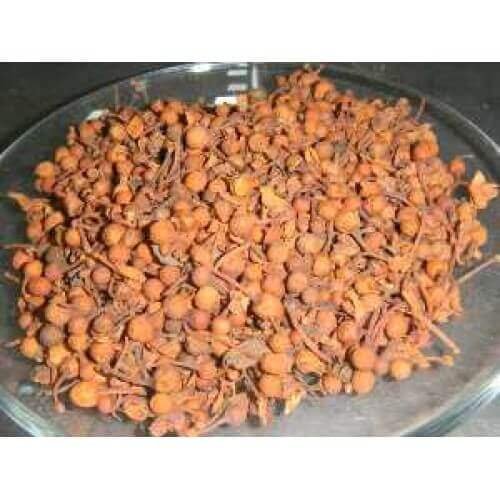 Nagkesar Nag Kesar Nagkeshar Nag Keshar Ochrocarpus Longifolius