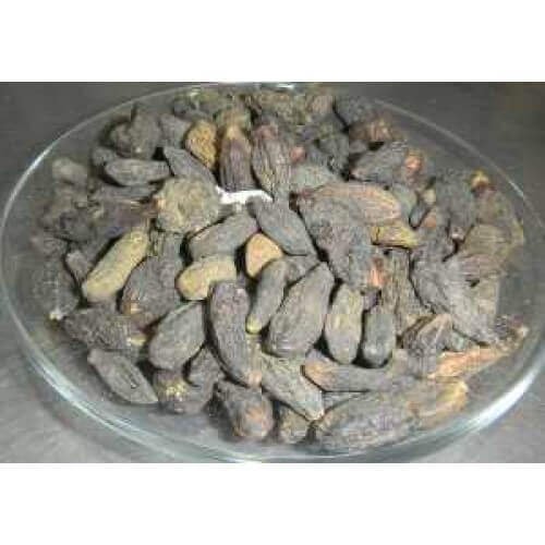 Harad Small Black Harad Choti Kali Black Himej ? Terminalia Chebula ? Myrobalan