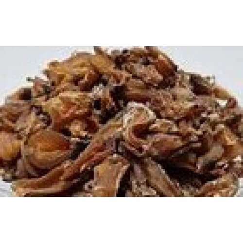 Shir Kakoli Kshirkakoli Ksheer Kakoli Lilium Polyphyllum