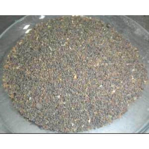 Khurasani Ajwain Khurasani Ajwaain Parasika Yavani Hyoscyamus Niger