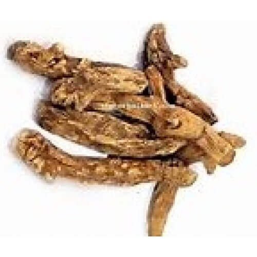 Shakakul Mishri Shaqaqul Misri Sakakul Mishri Pastinaca Sativa