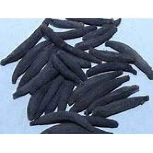 Pahari Laung Long Clove