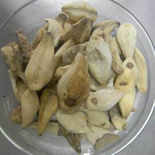 Suranjaan Sweet Suranjan Mithi Colchicum Luteum