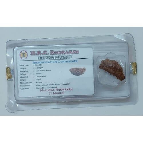 Rudraksh Dana Ek Mukhi-One Face Lab Certified