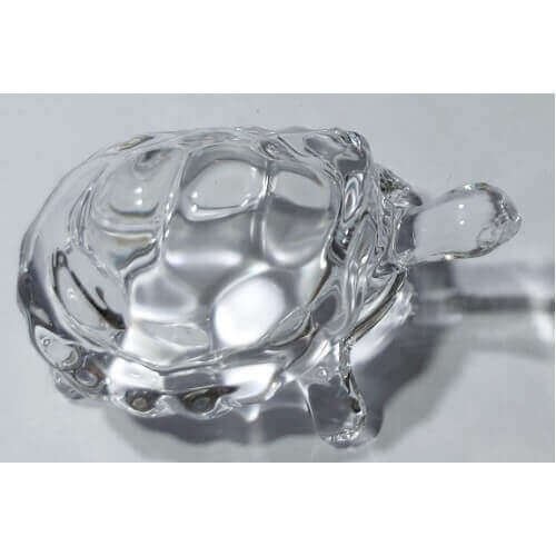 Kachuva Tortoise Lead Kanch Shesha