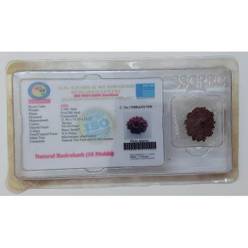 Rudraksh Dana Dus Mukhi-Ten Face Lab Certified